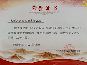苏州工业园区教育党委“我为党旗添光采”图片展评二等奖